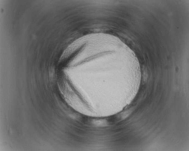 X0000067400283200604281915