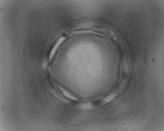 X0000067400284200604281915