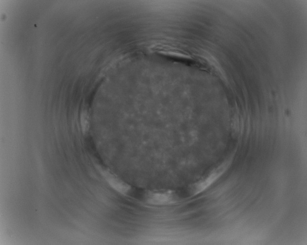 X0000067400285200604281915