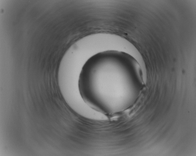 X0000067400287200604281915