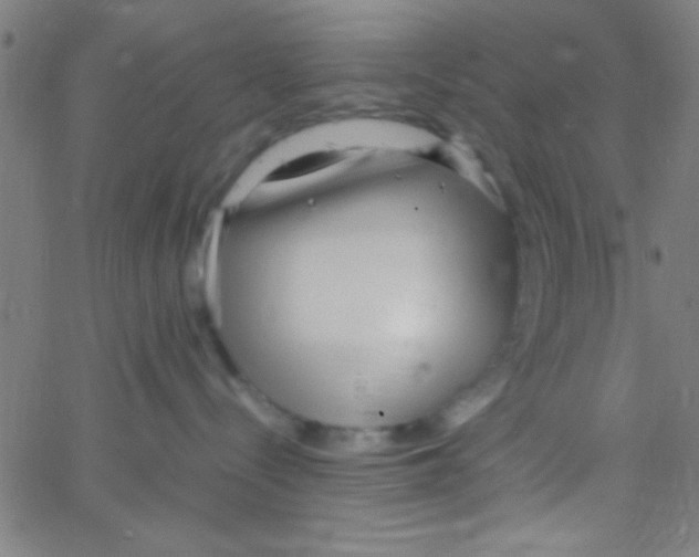 X0000067400288200604281915