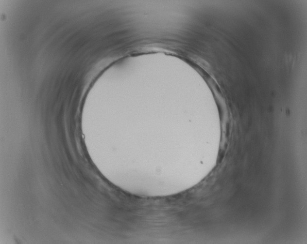 X0000067400289200604281915