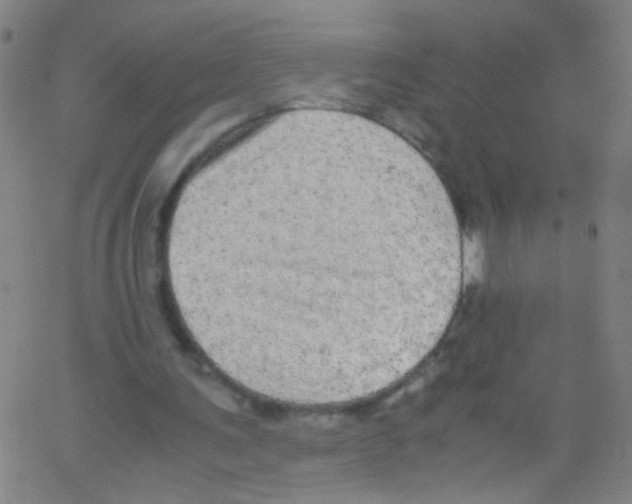 X0000067400291200604281915