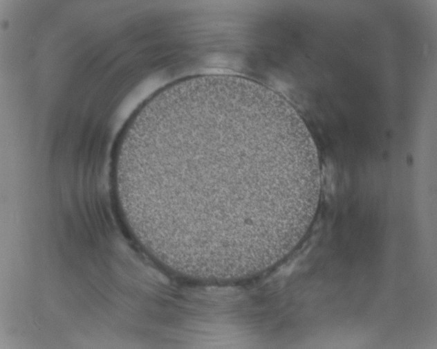 X0000067400292200604281915