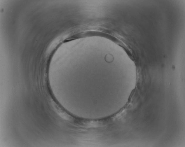 X0000067400293200604281915