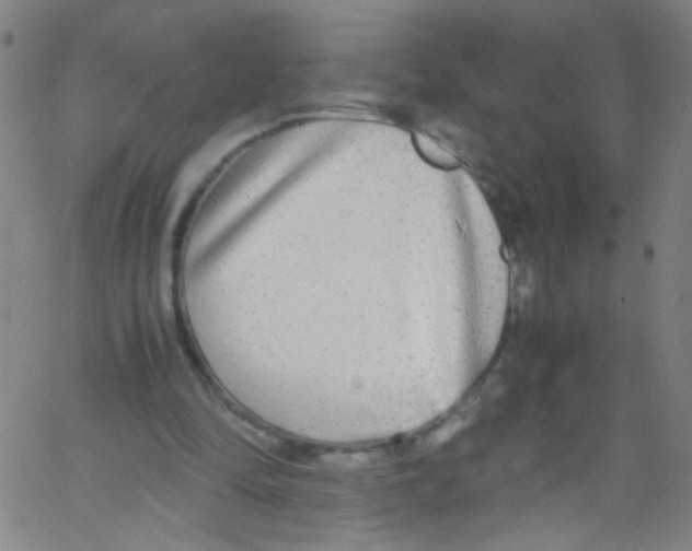 X0000067400294200604281915