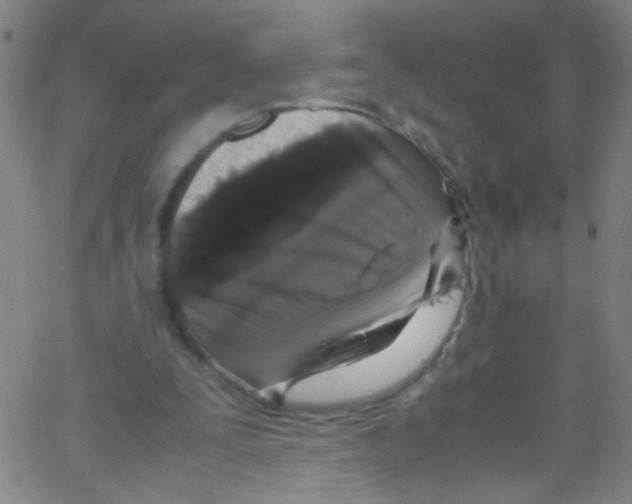 X0000067400295200604281915