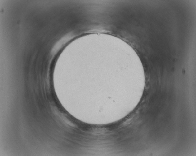 X0000067400296200604281914