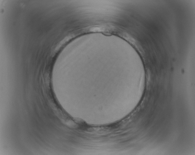 X0000067400297200604281914