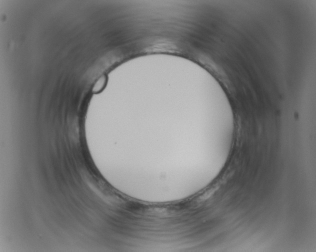 X0000067400298200604281914