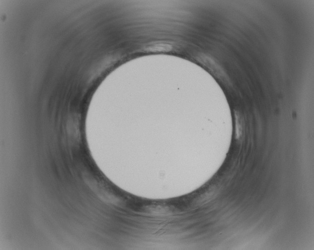 X0000067400300200604281914