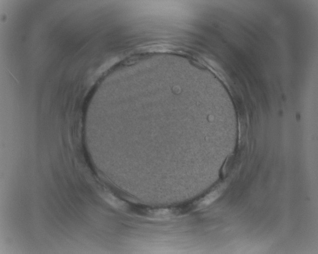 X0000067400301200604281914