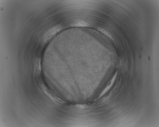 X0000067400302200604281914