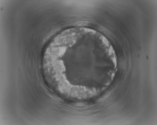 X0000067400303200604281914