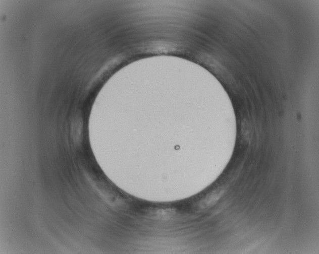 X0000067400304200604281914