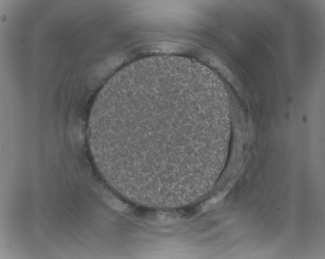 X0000067400305200604281914