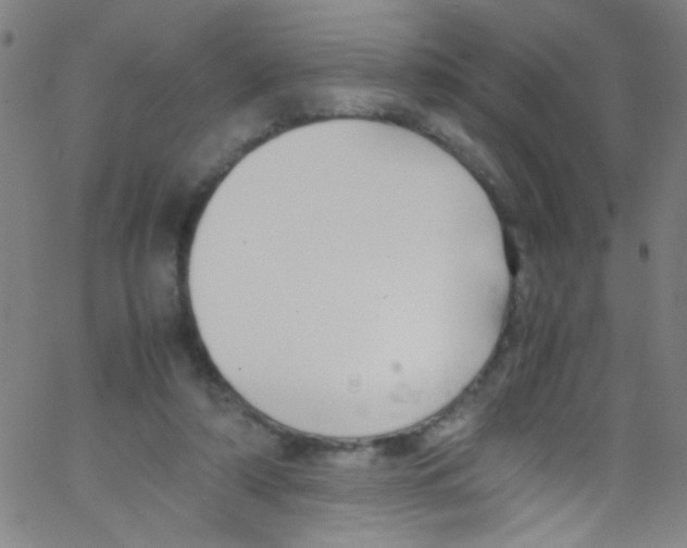 X0000067400306200604281914