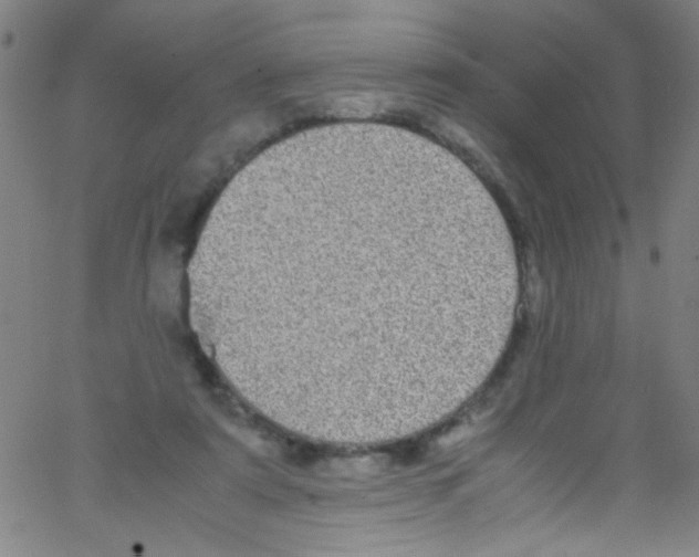 X0000067400307200604281914