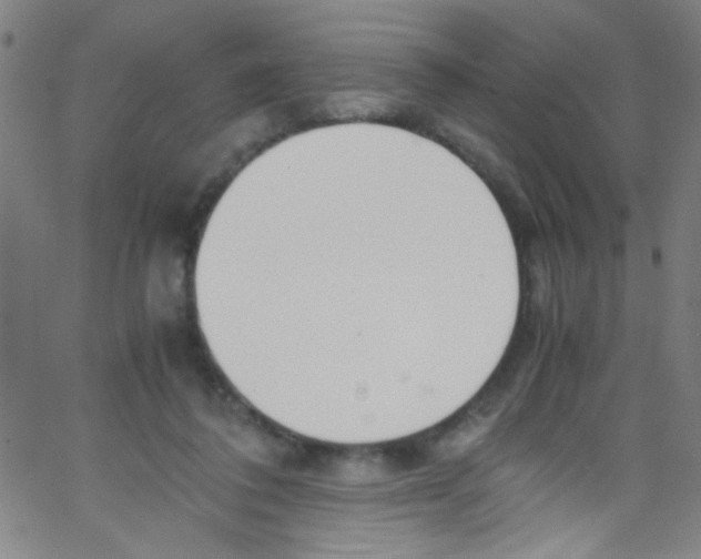 X0000067400308200604281914