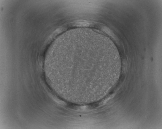 X0000067400309200604281914