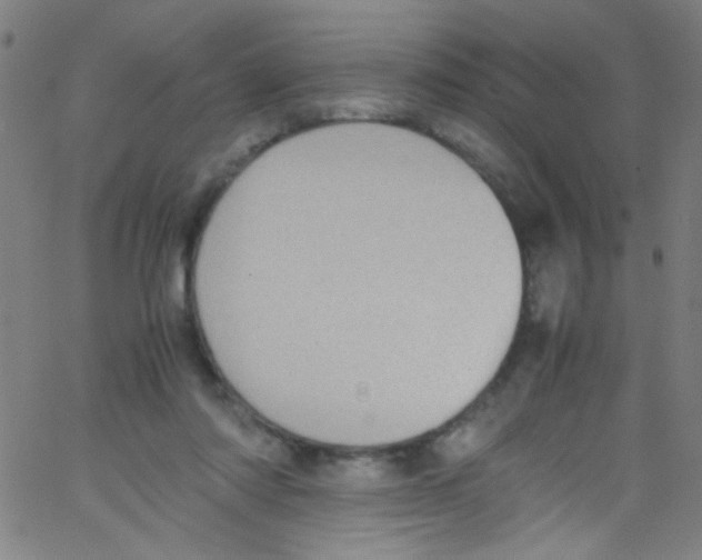 X0000067400310200604281914