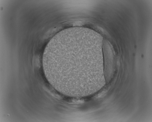 X0000067400311200604281914