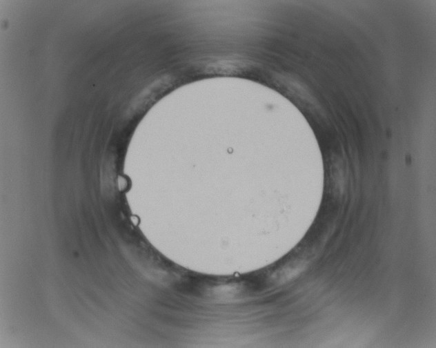 X0000067400312200604281914