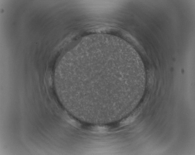 X0000067400313200604281914