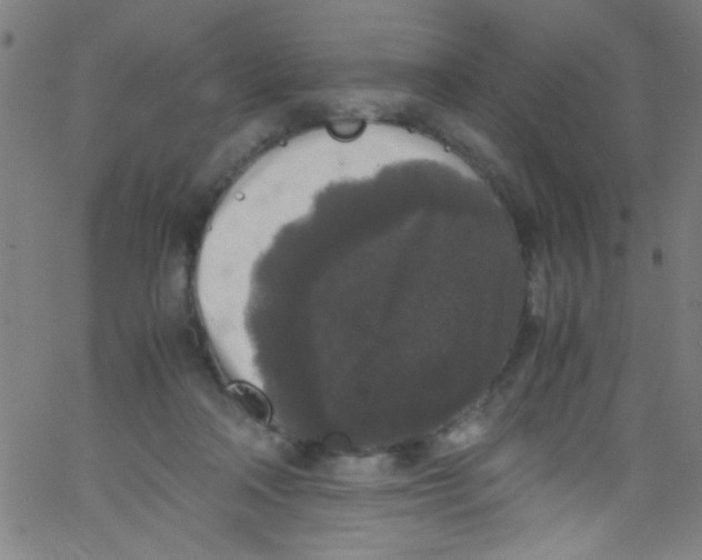 X0000067400314200604281914