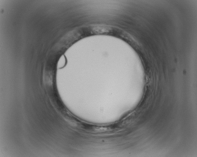 X0000067400315200604281914