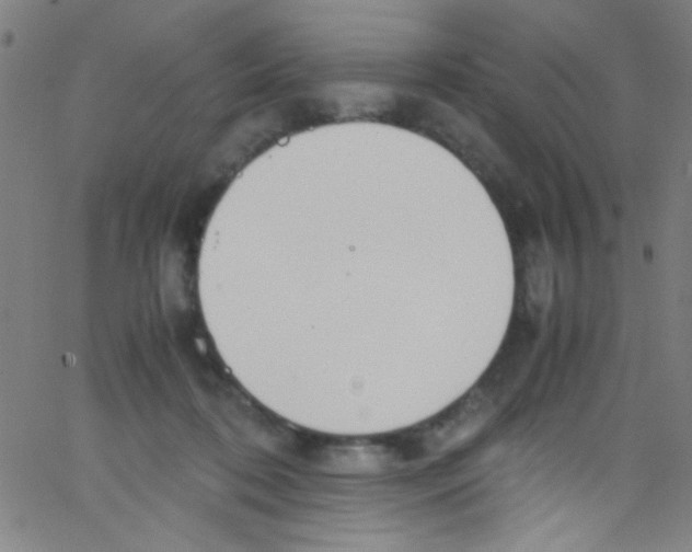 X0000067400316200604281914