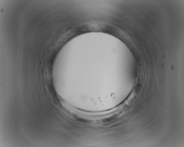 X0000067400317200604281914