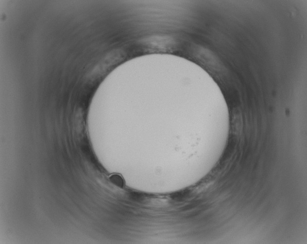 X0000067400318200604281914