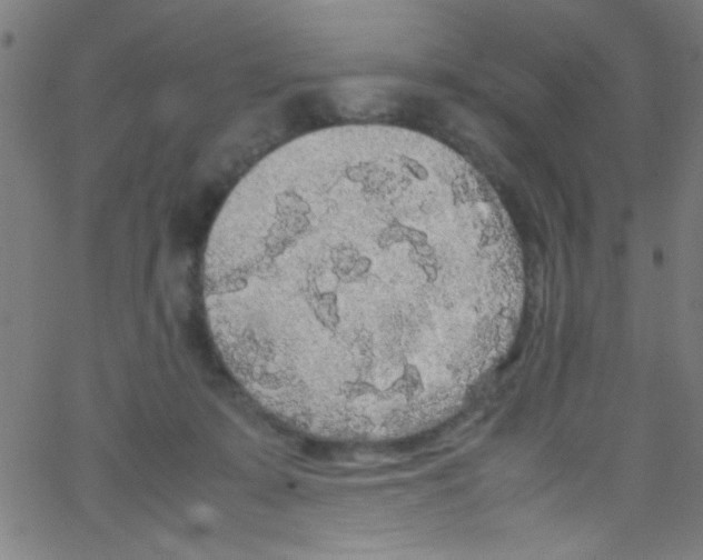 X0000067400319200604281914