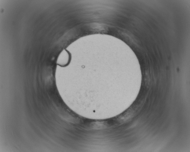 X0000067400320200604281914