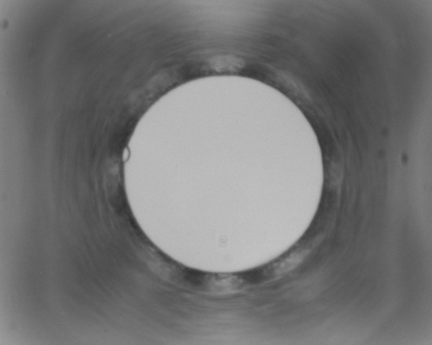 X0000067400321200604281914