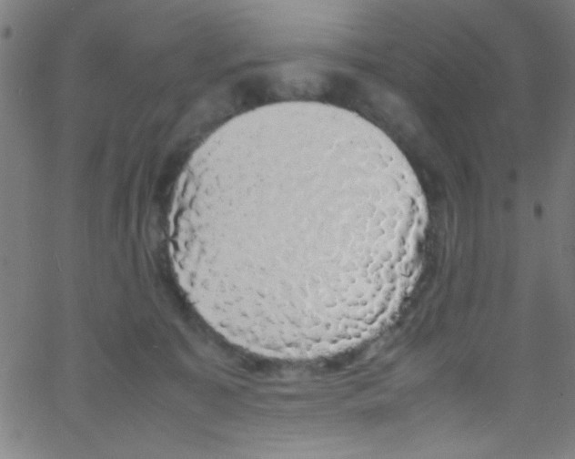 X0000067400323200604281914