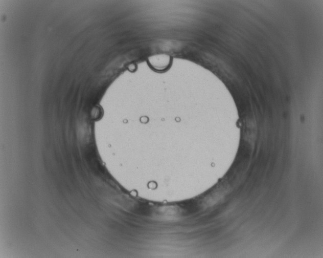 X0000067400324200604281914