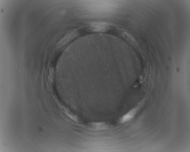 X0000067400325200604281914