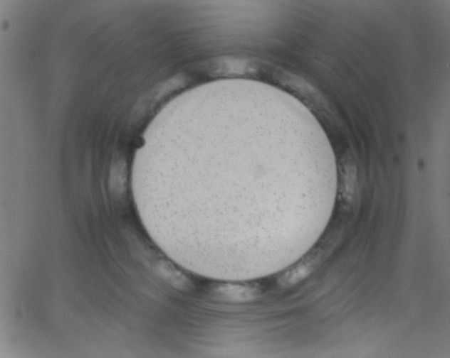 X0000067400326200604281914