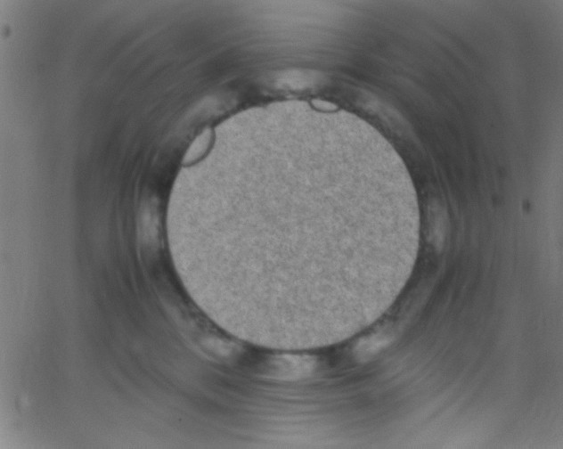 X0000067400328200604281914