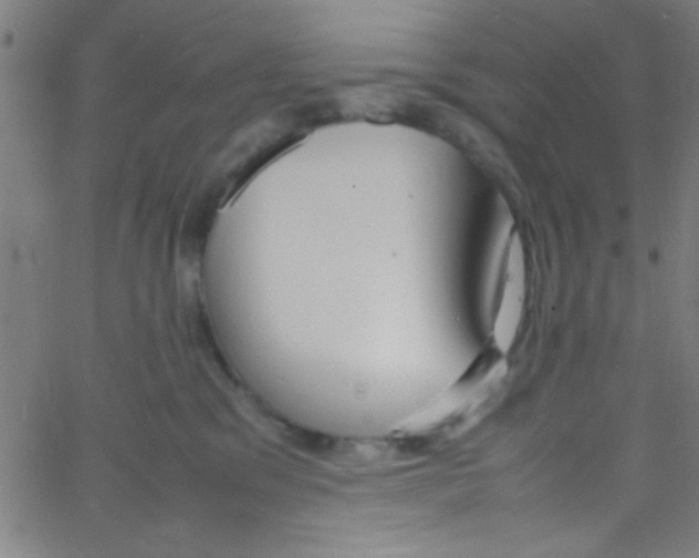 X0000067400329200604281914