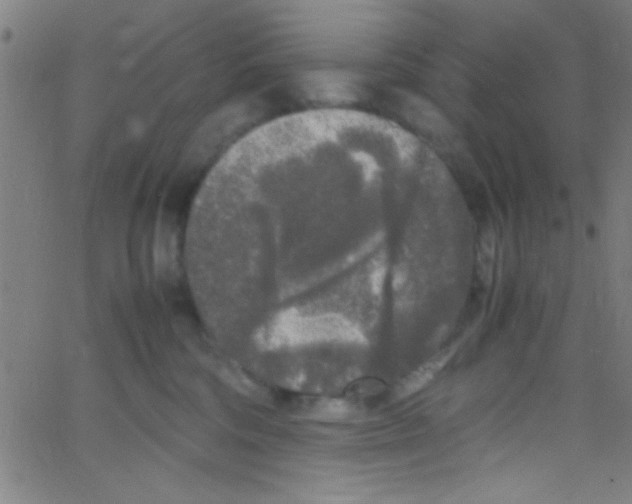 X0000067400330200604281914