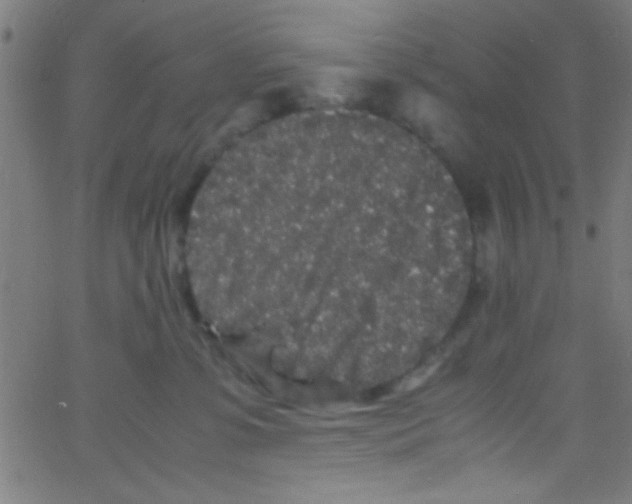 X0000067400331200604281914