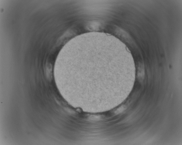 X0000067400332200604281914