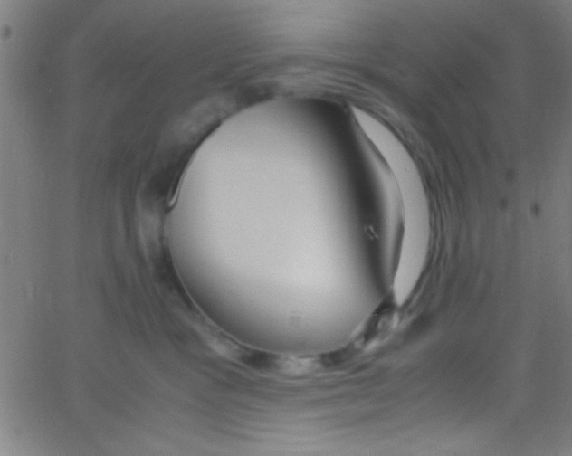 X0000067400333200604281914