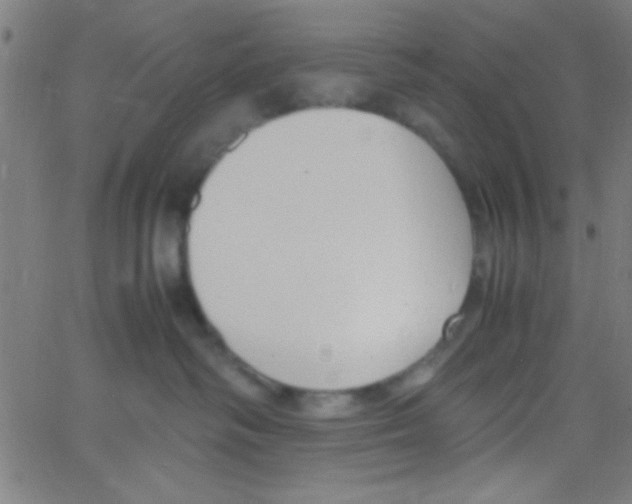 X0000067400334200604281914