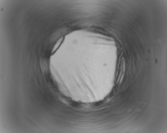 X0000067400335200604281914