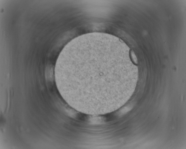 X0000067400336200604281914