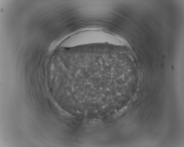 X0000067400337200604281913